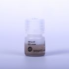 Beckman贝克曼 AMPure XP_5 mL 核酸纯化试剂盒A63880